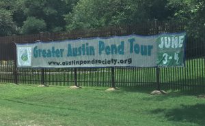 Greater Austin Pond Tour